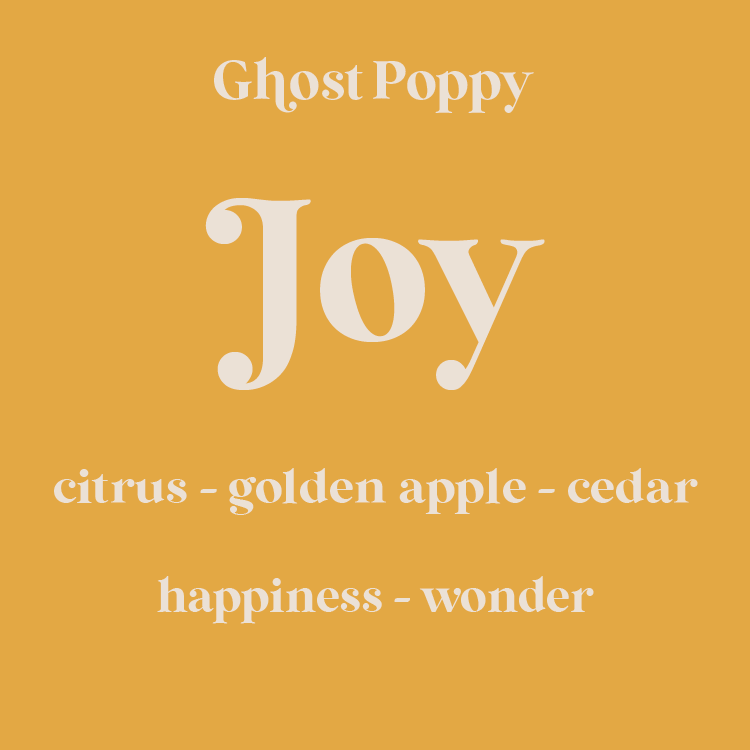 Joy Wax Melt