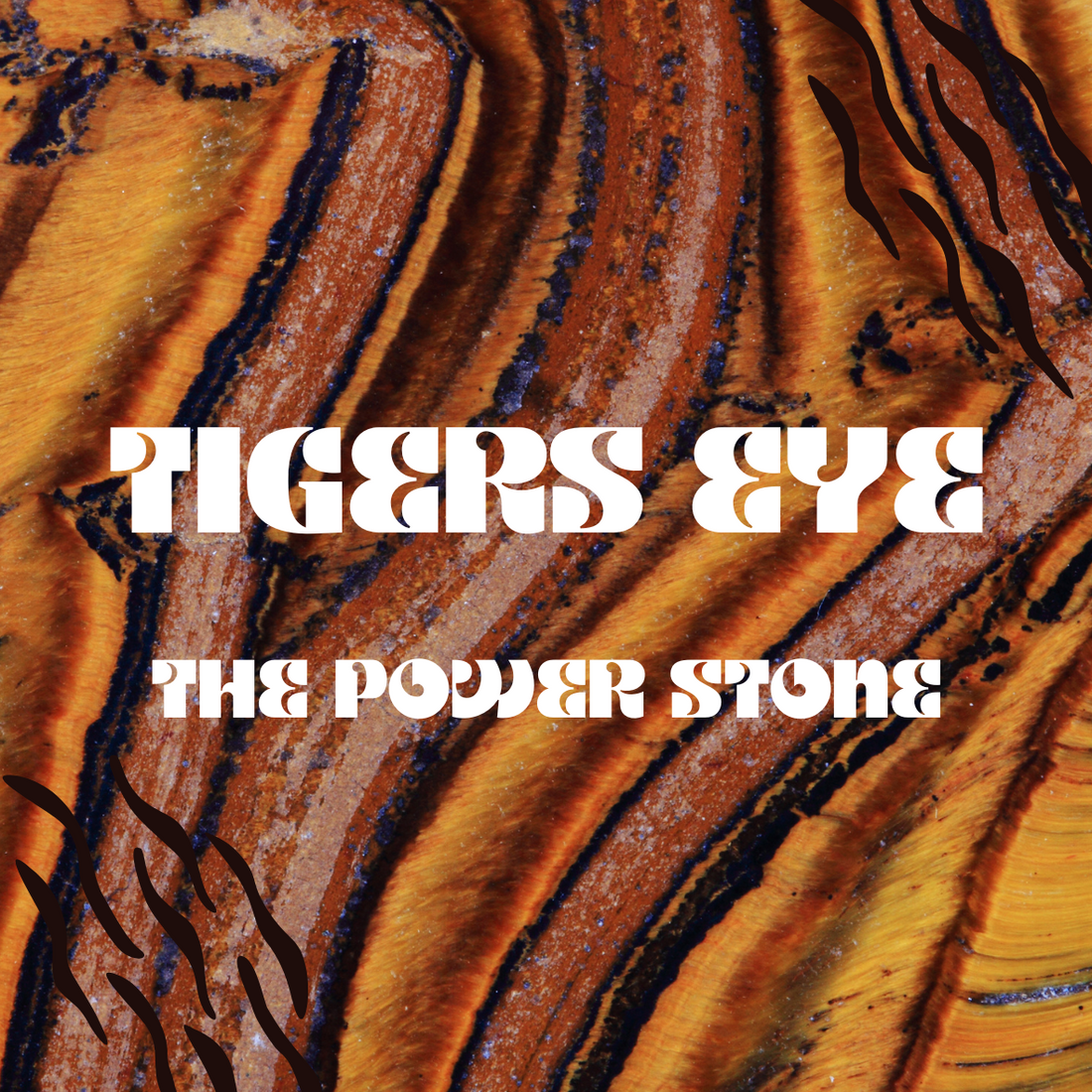 Tigers Eye: The Power Stone