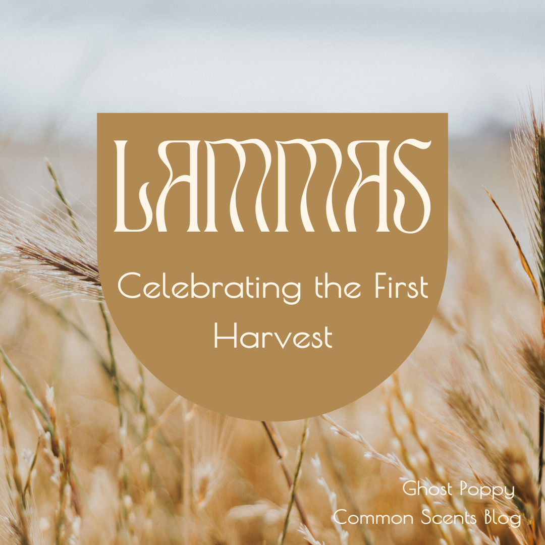 Lammas- Celebrating the First Harvest